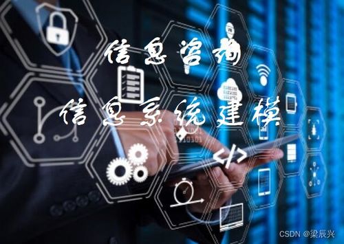 信息系統(tǒng)建模與分析 驅(qū)動電子商務(wù)技術(shù)開發(fā)的關(guān)鍵引擎